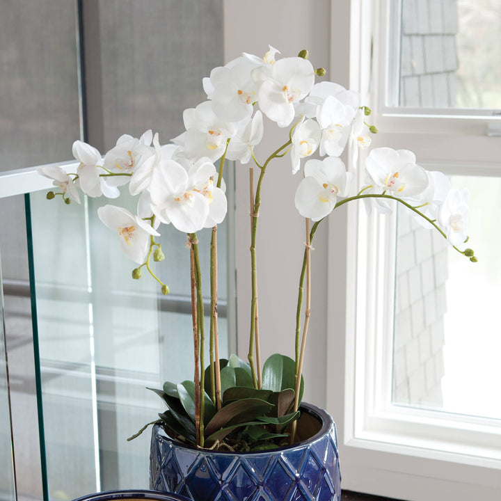 Napa Home & Garden - Phalaenopsis Orchid Bowl Drop-In 25"