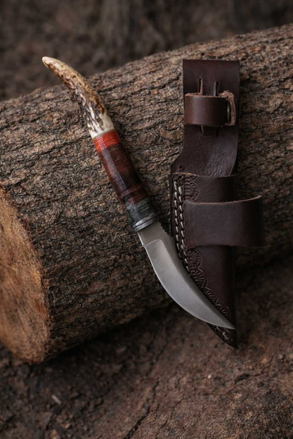 Titan International - Titan Ridgeback Utility Knife – Stag Handle Edition
