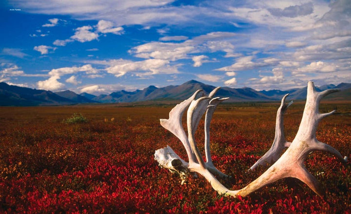 Independent Publishers Group - American National Parks: Alaska, Northern & Eastern USA: Hardcover / 576 / 10.6 x 13 x 1.70