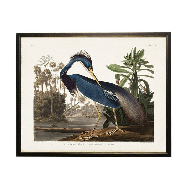 Antique Curiosities Inc - Navy Heron By The Sea: Light Walnut Burl / 16" X 12"