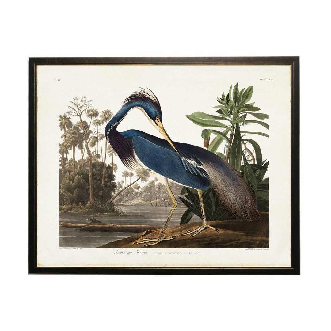 Antique Curiosities Inc - Navy Heron By The Sea: Gold Shadowbox 2440-65 Zf / 24" X 18"