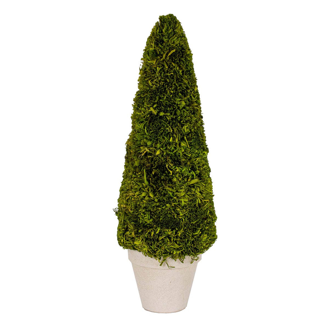 The Royal Standard - Boxwood Tree   Green   4x15.75x4