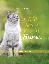 I Will See You in Heaven - Cat Lover's Edition
