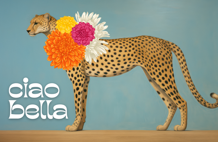 TAYLOR GRAY - 11x17 ECLECTIC MOODY insert set of 10