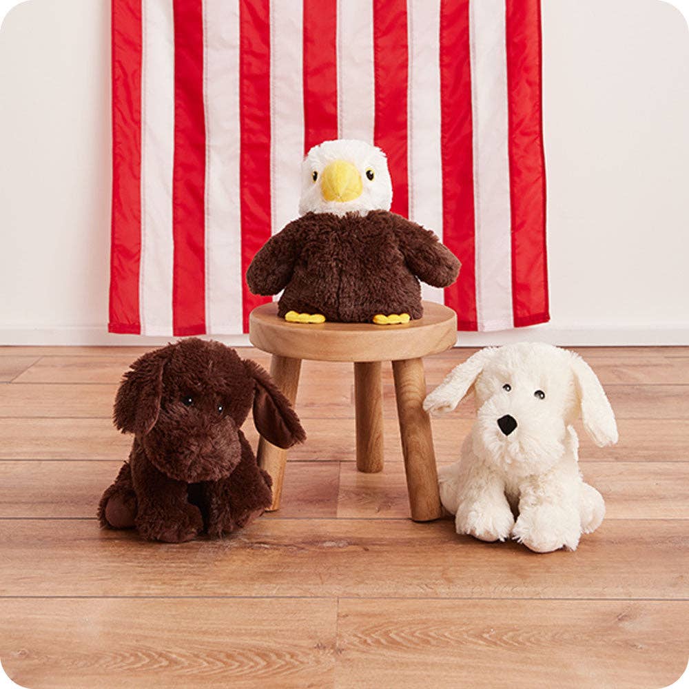 Warmies - Lavender Scented Plush - Gifts - Summer Market - Chocolate Labrador Warmies