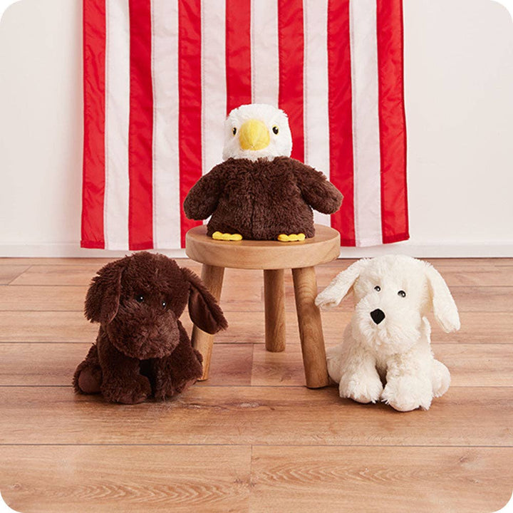 Warmies - Lavender Scented Plush - Gifts - Summer Market - Chocolate Labrador Warmies