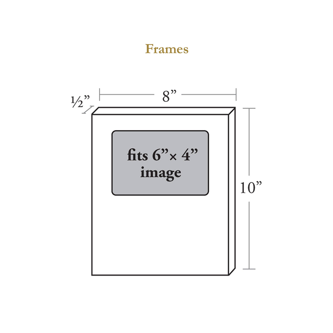 Marye-Kelley - F7903LP - Lady Bird Laura Park Picture Frame