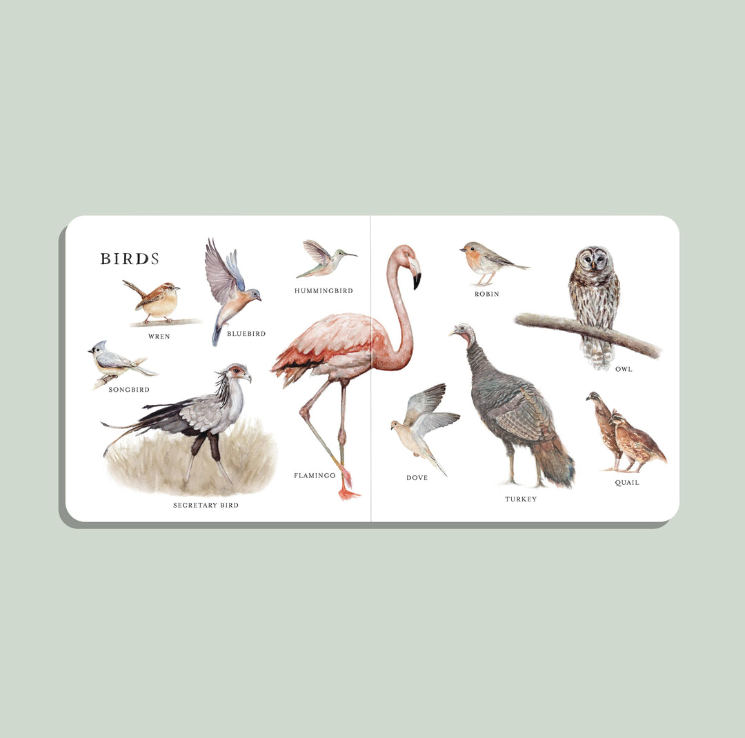 Paige Tate & Co. - Our Big Book of Animals (Board Book)