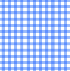 The Classic Baby - Hooded Terry Bath Towel for Baby and Toddlers | Plush Terry: Pink Gingham