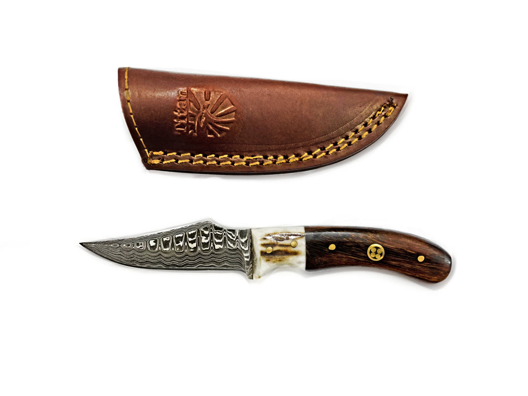 Titan International - Damascus Steel Skinner Knife, Stag & Walnut Grip by Titan Td