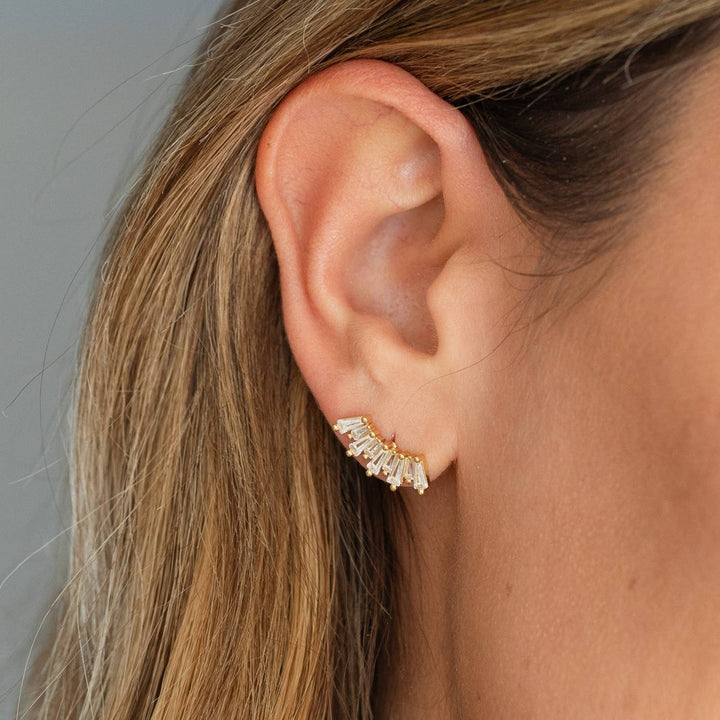 Splendid Iris - Curved Baguette Studs on Velvet Gift Tag