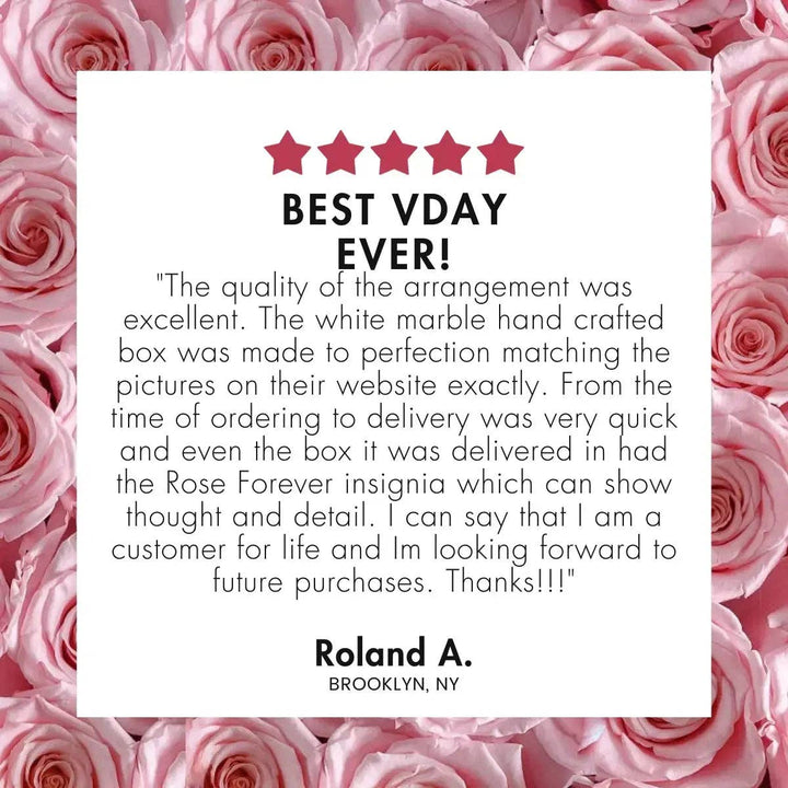 Rose Forever - Love Red Roses Velvet 16