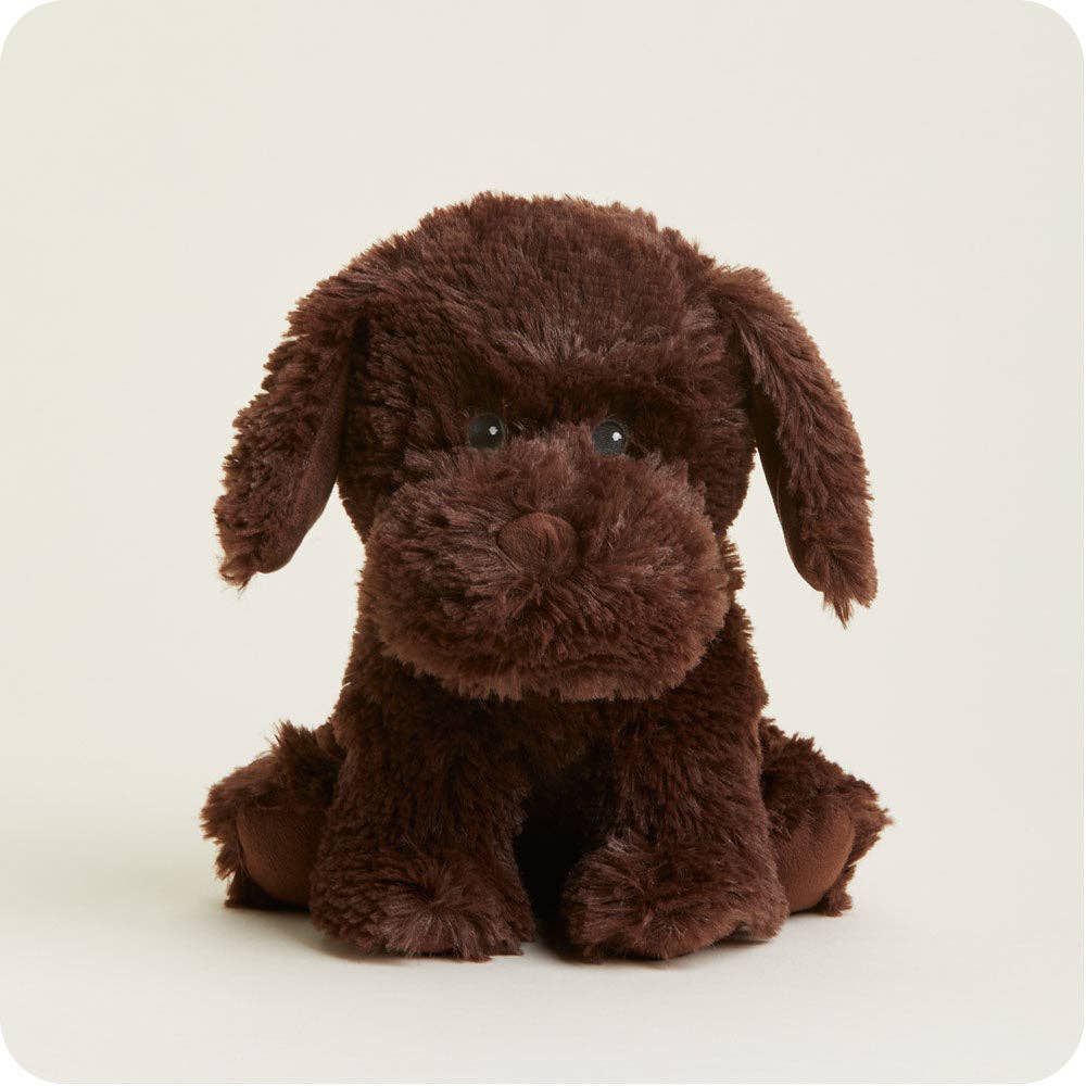 Warmies - Lavender Scented Plush - Gifts - Summer Market - Chocolate Labrador Warmies