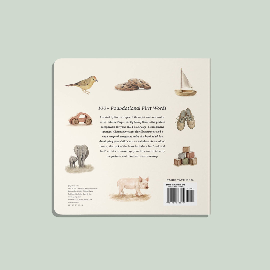 Paige Tate & Co. - Our Big Book of First Words (Easter Basket Stuffer)