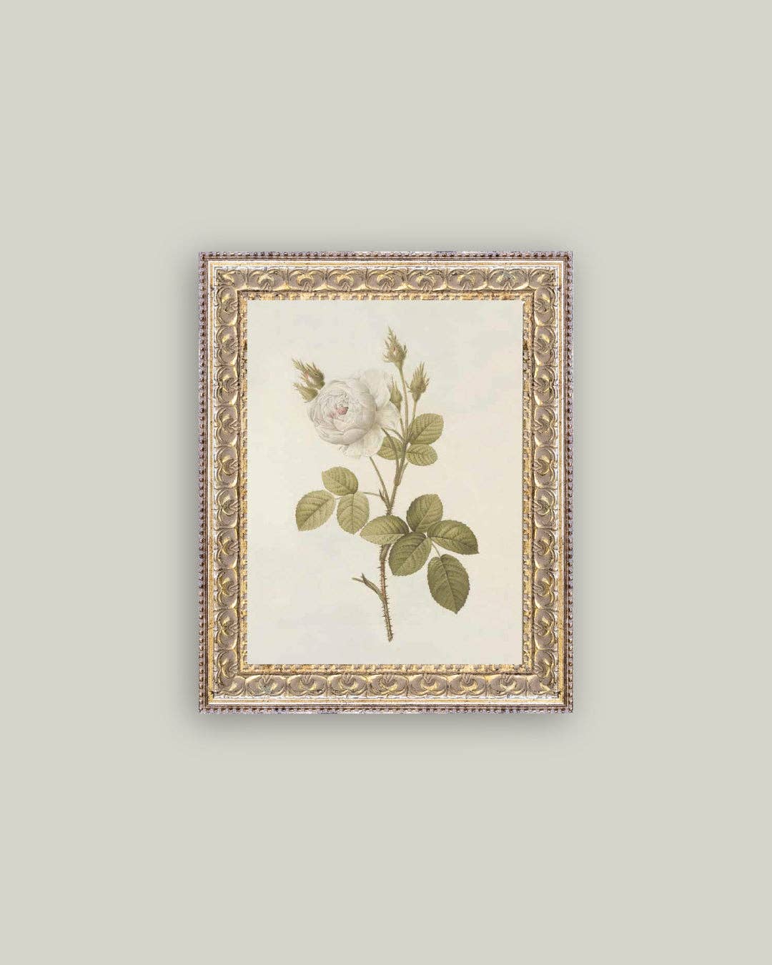Petal Lane Home - Misty Rose Framed Antique Art: 8x10