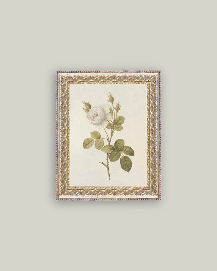 Petal Lane Home - Misty Rose Framed Antique Art: 8x10
