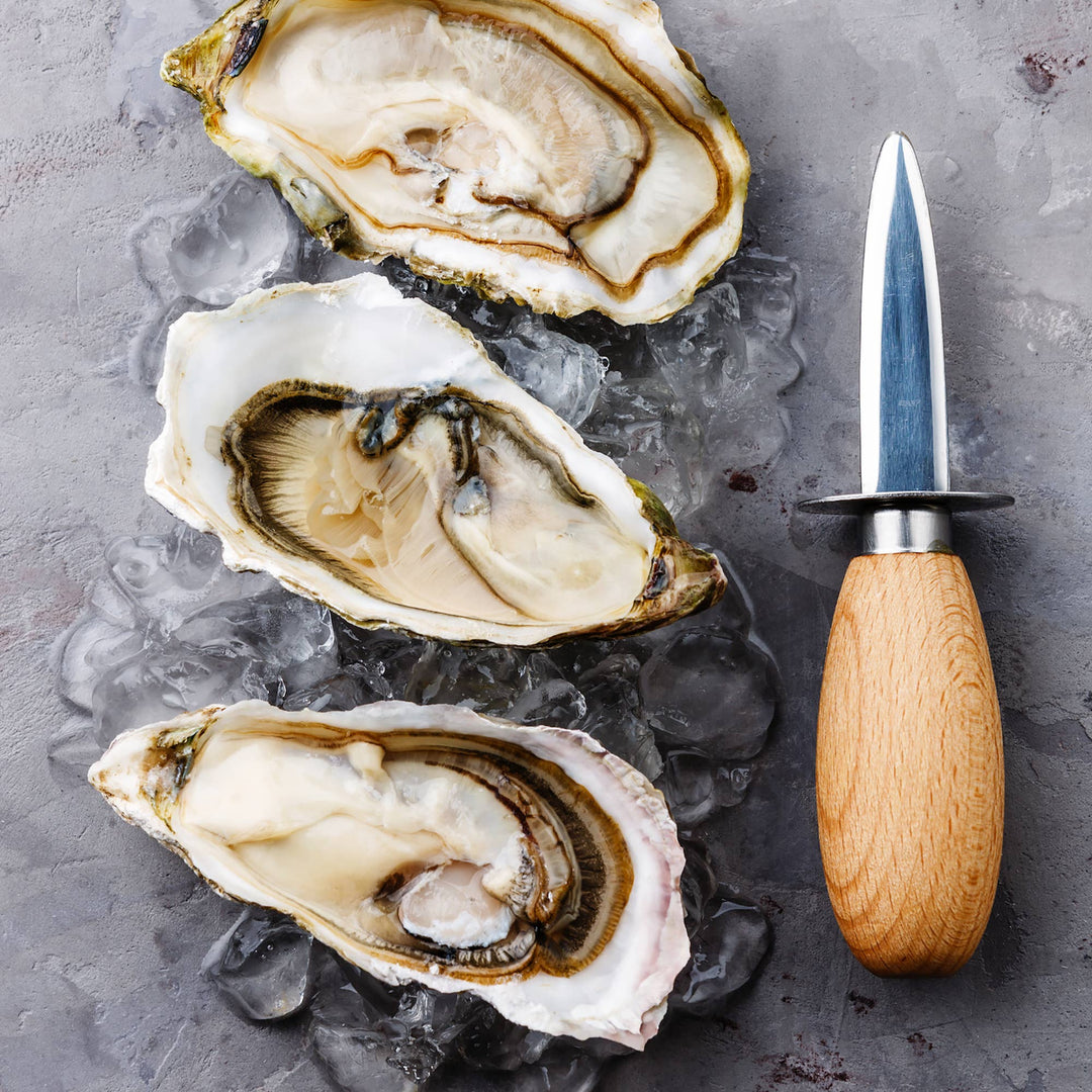 Fox Run Brands - Oyster Knife - Bulk
