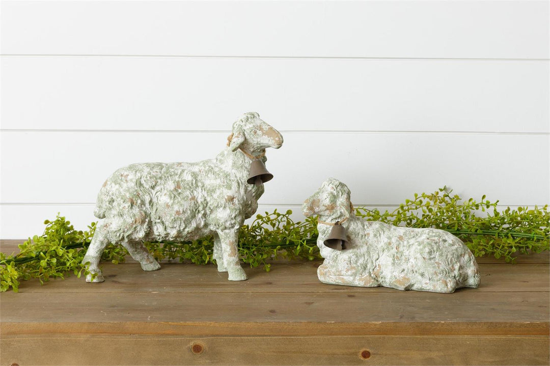 Sheep With Bell Collars