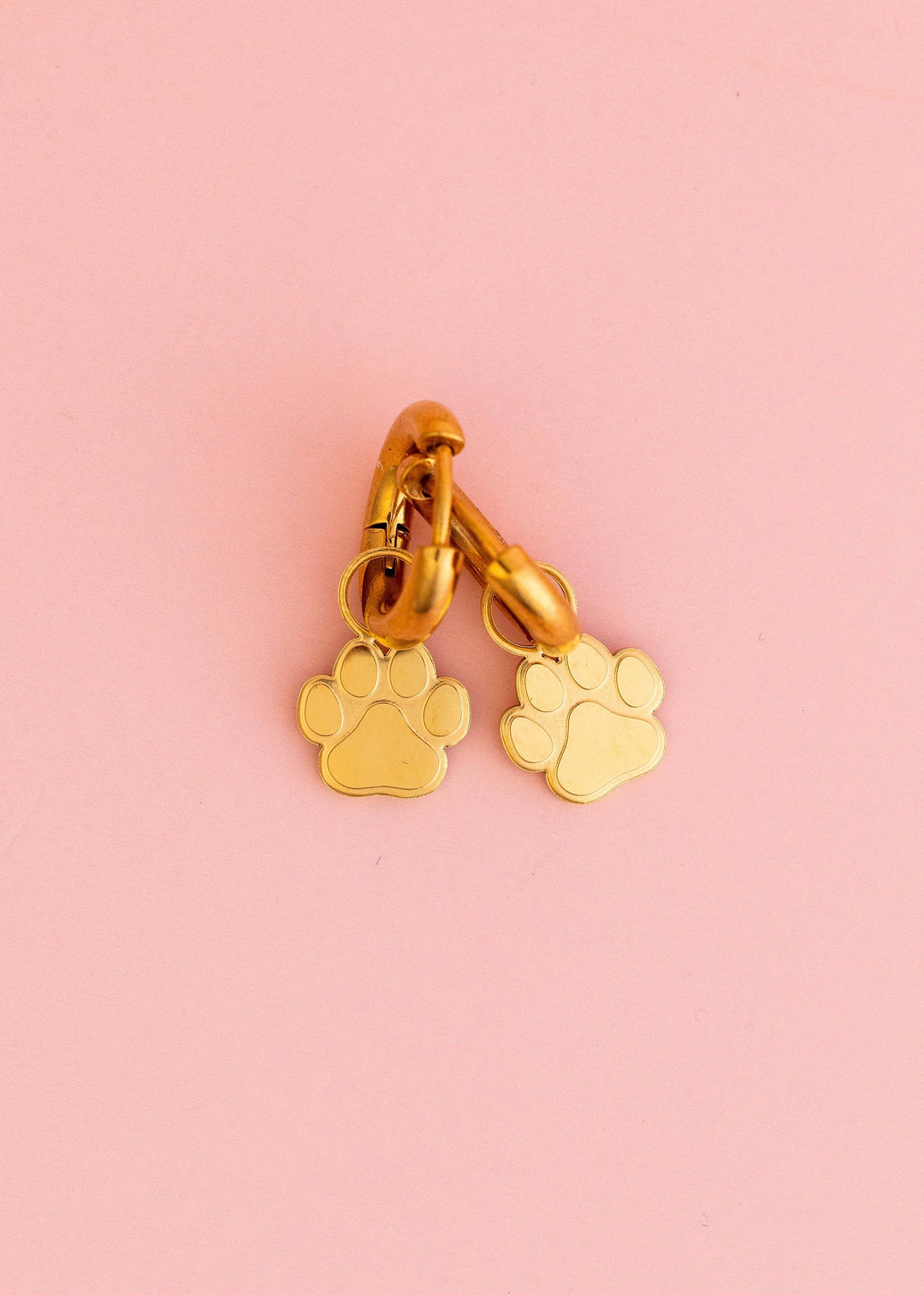Pierced Co - Paw Print Charms