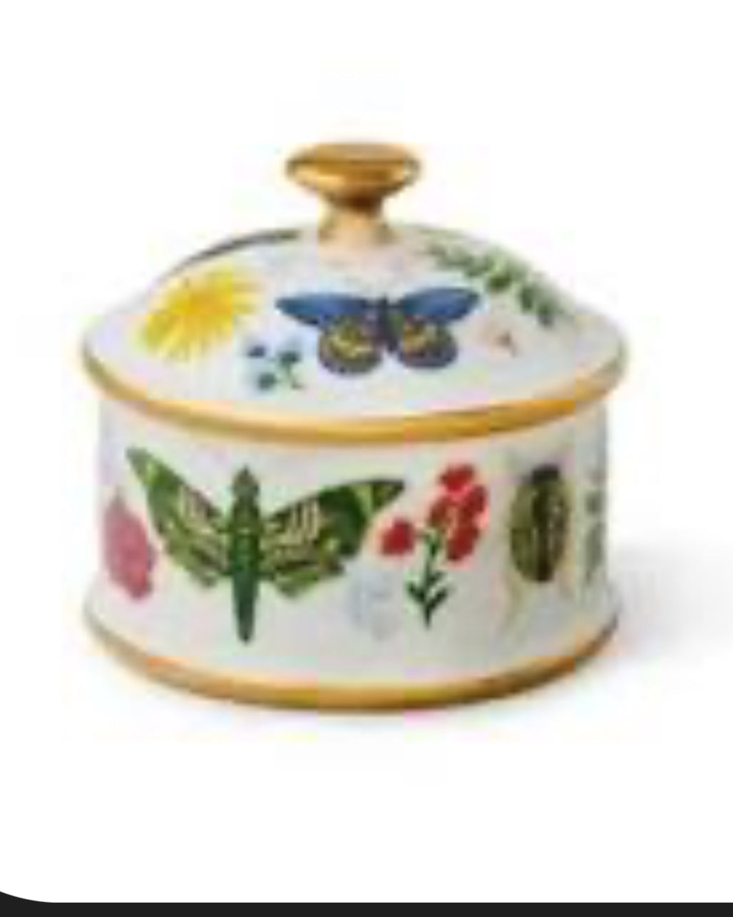 Curio Round Butterfly Porcelain Box - Rifle Paper Co