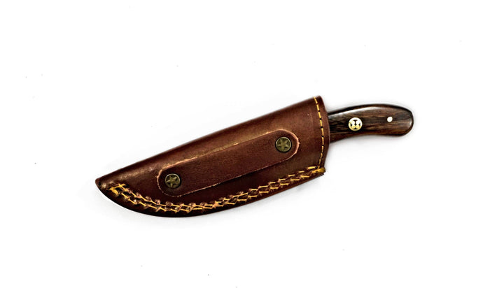 Titan International - Damascus Steel Skinner Knife, Stag & Walnut Grip by Titan Td