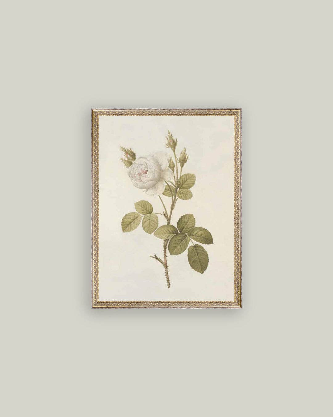 Petal Lane Home - Misty Rose Framed Antique Art: 5x7