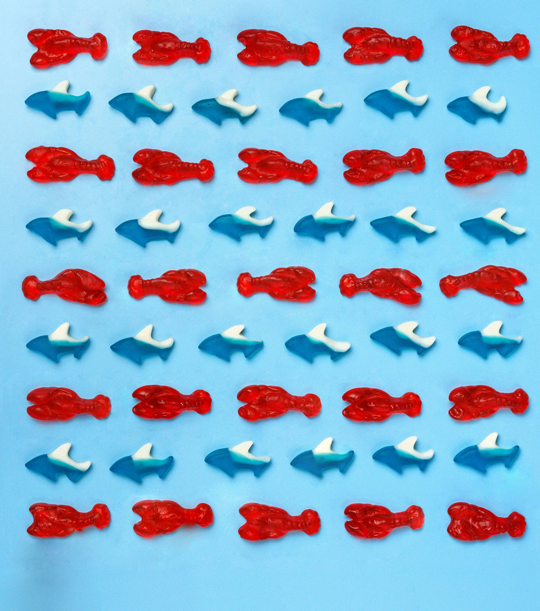 Candy Club - Sea Sharks