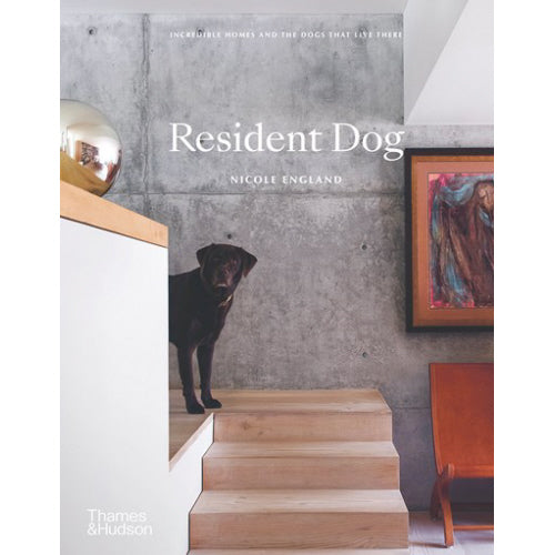 Resident Dog