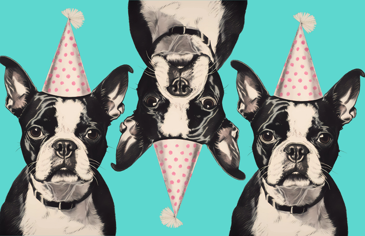 TAYLOR GRAY - 11x17 FUNKY FINDS insert set of 10