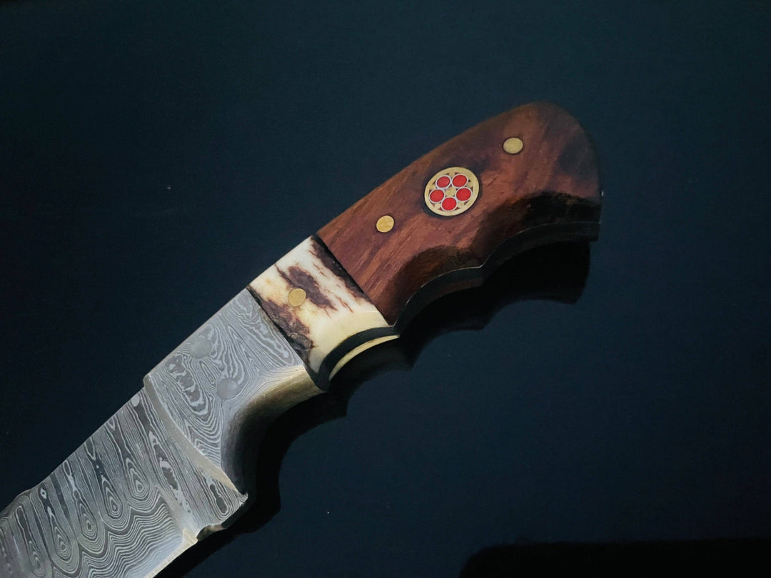 Titan International - DAMASCUS STEEL FIXED BLADE KNIFE WITH WALNUT & STAG HORN HAN
