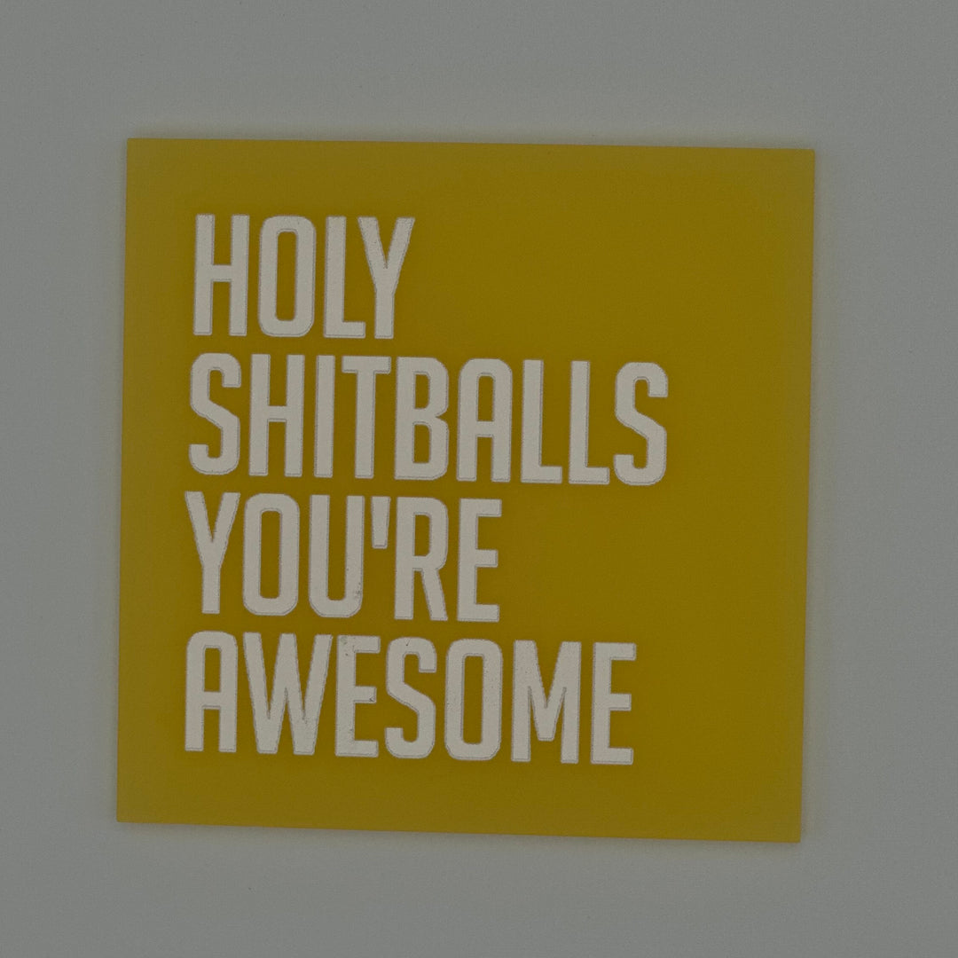 Holy shitballs you're awesome.