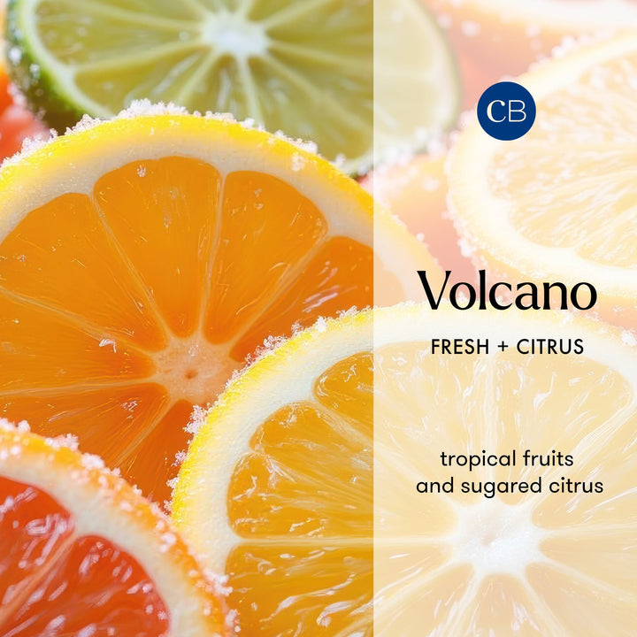 Capri Blue Volcano Blue Reed Diffuser 8 fl oz