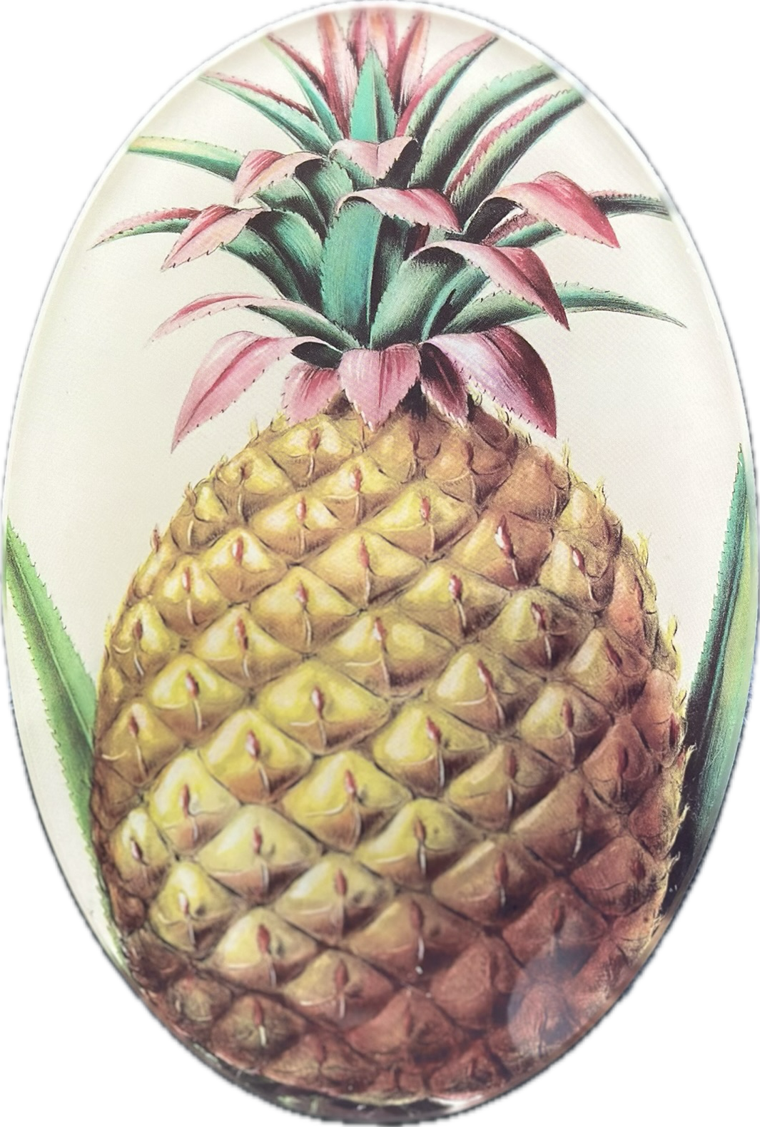 Pineapple Oval Plate