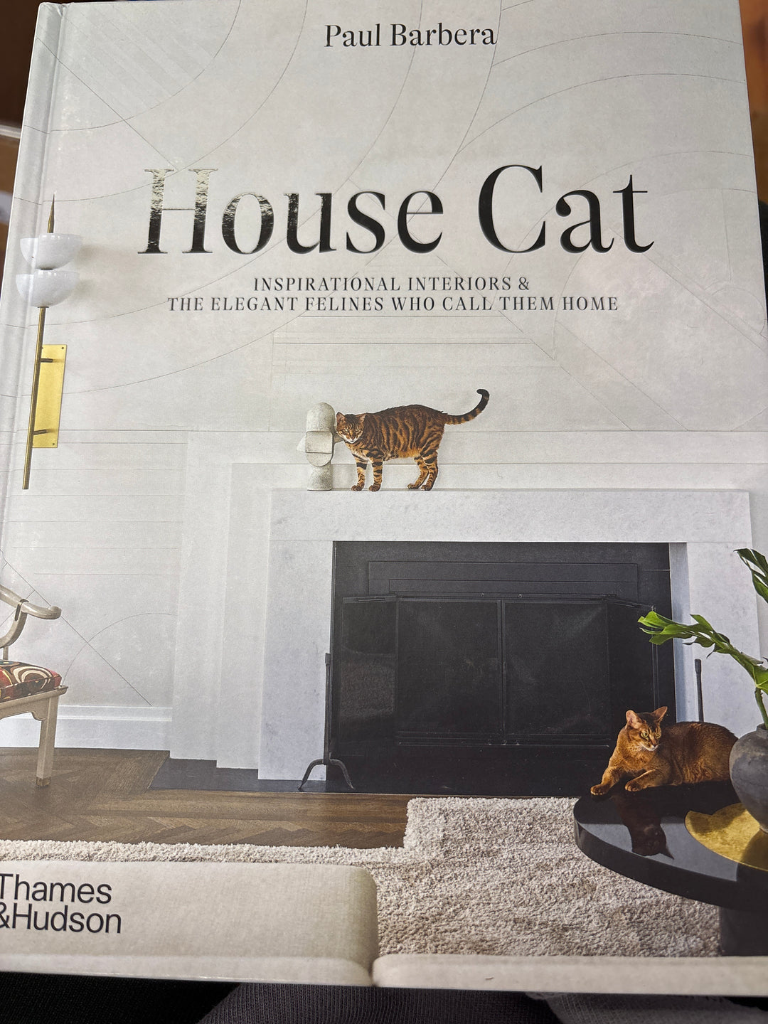 House Cat