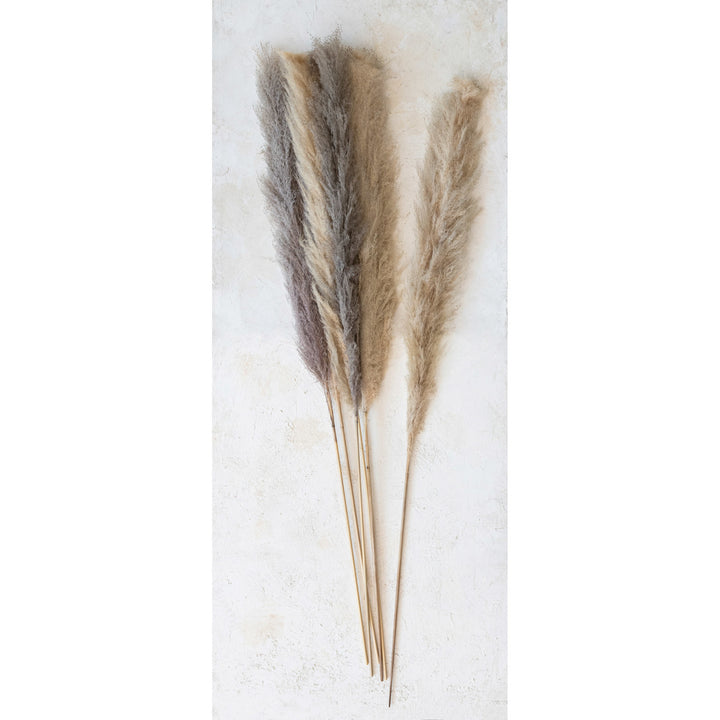 Dried Pampas Grass Bunch (Each One Will Vary)