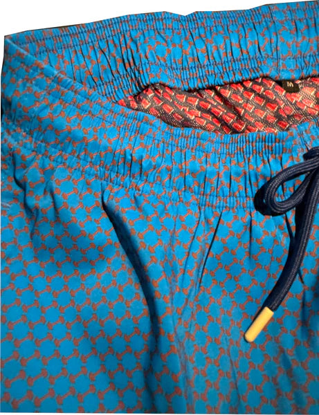 Lazy Jack Press- Do You Even Lift Bro Bathing Suit