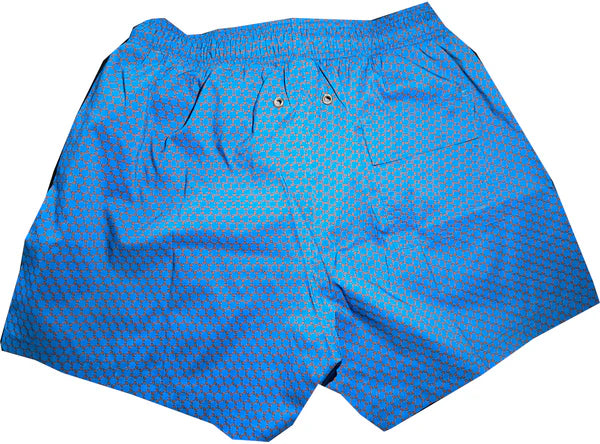 Lazy Jack Press- Do You Even Lift Bro Bathing Suit