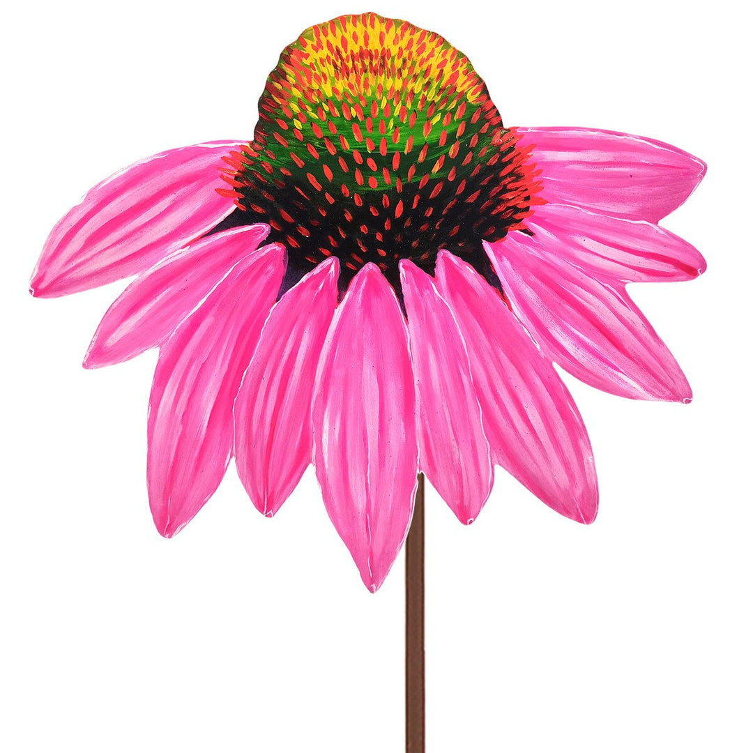 Fanciful Pink Cornflower