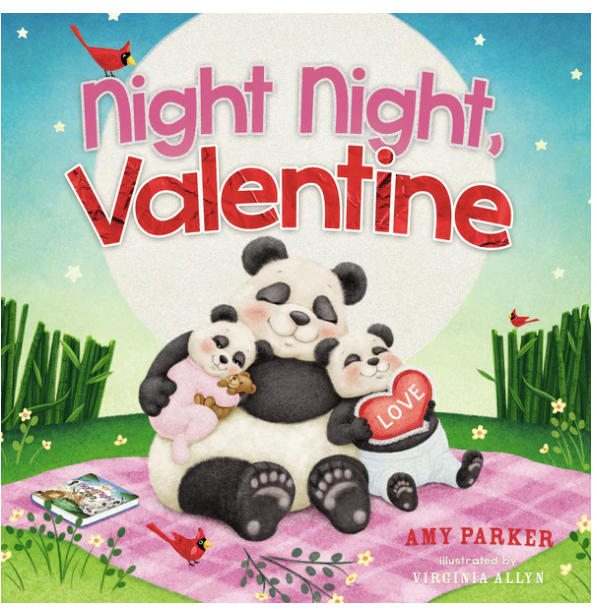 Night Night Valentine Book