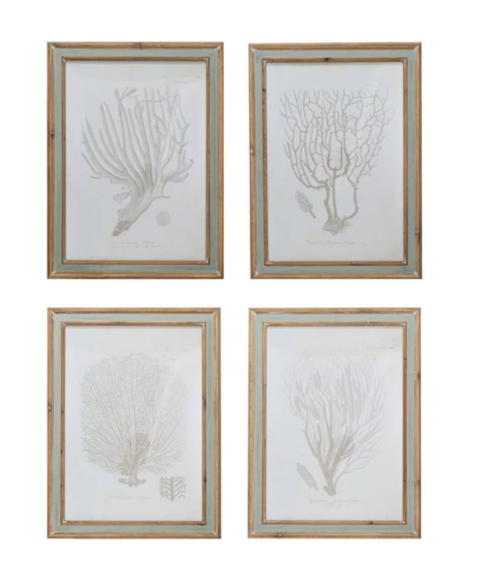 Wood Framed Coral Pictures