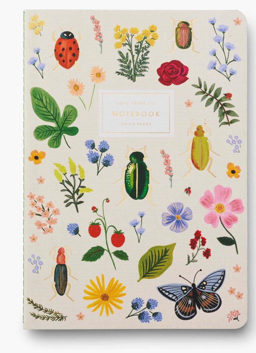Assorted Set of 3 Curio Notebooks