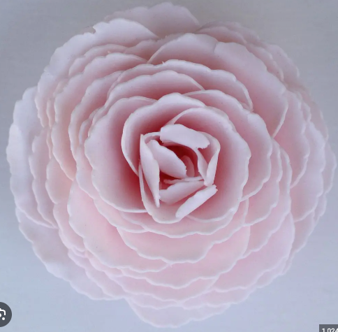 Day in Paris Soap Petal Flower