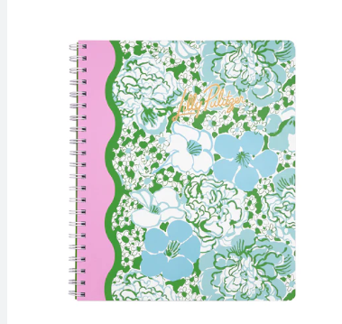 Large Notebook, Mint Condition Burst of Joy