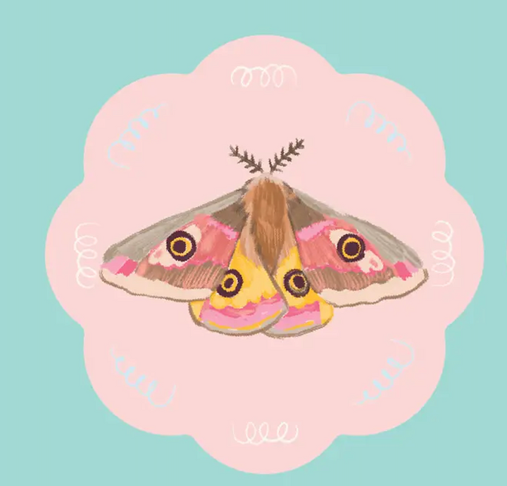 Coaster Sweet Insects