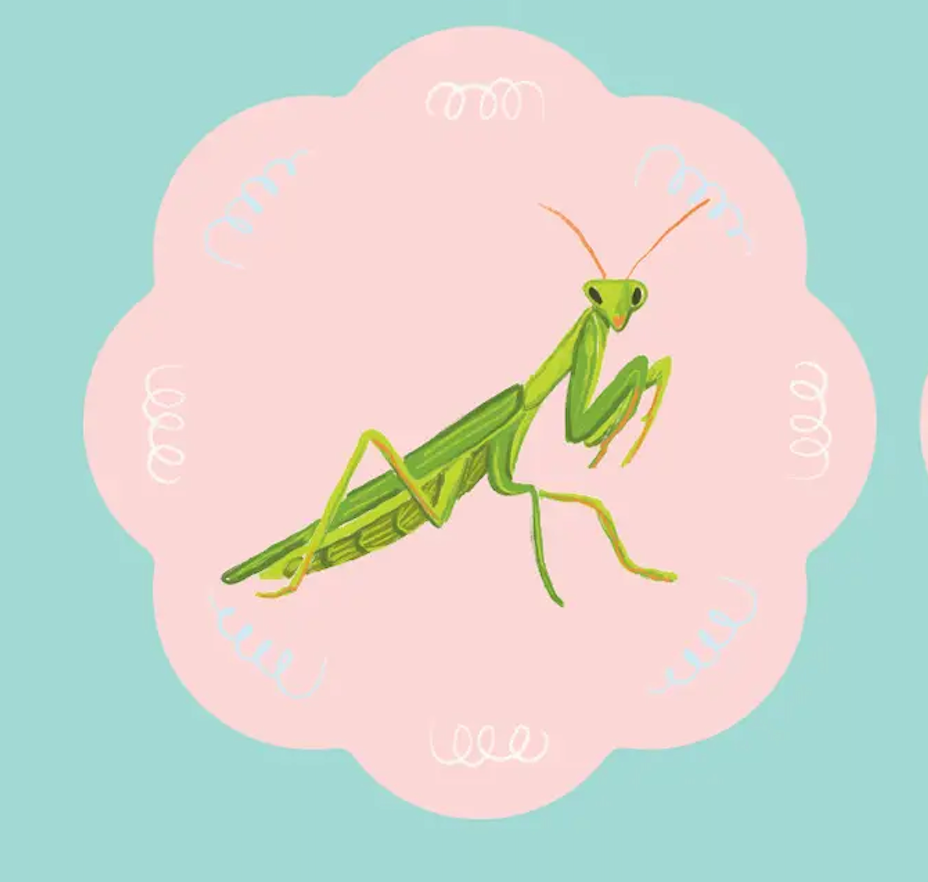 Coaster Sweet Insects