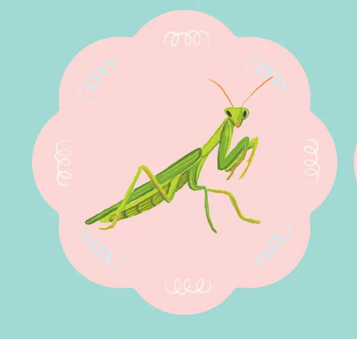 Coaster Sweet Insects