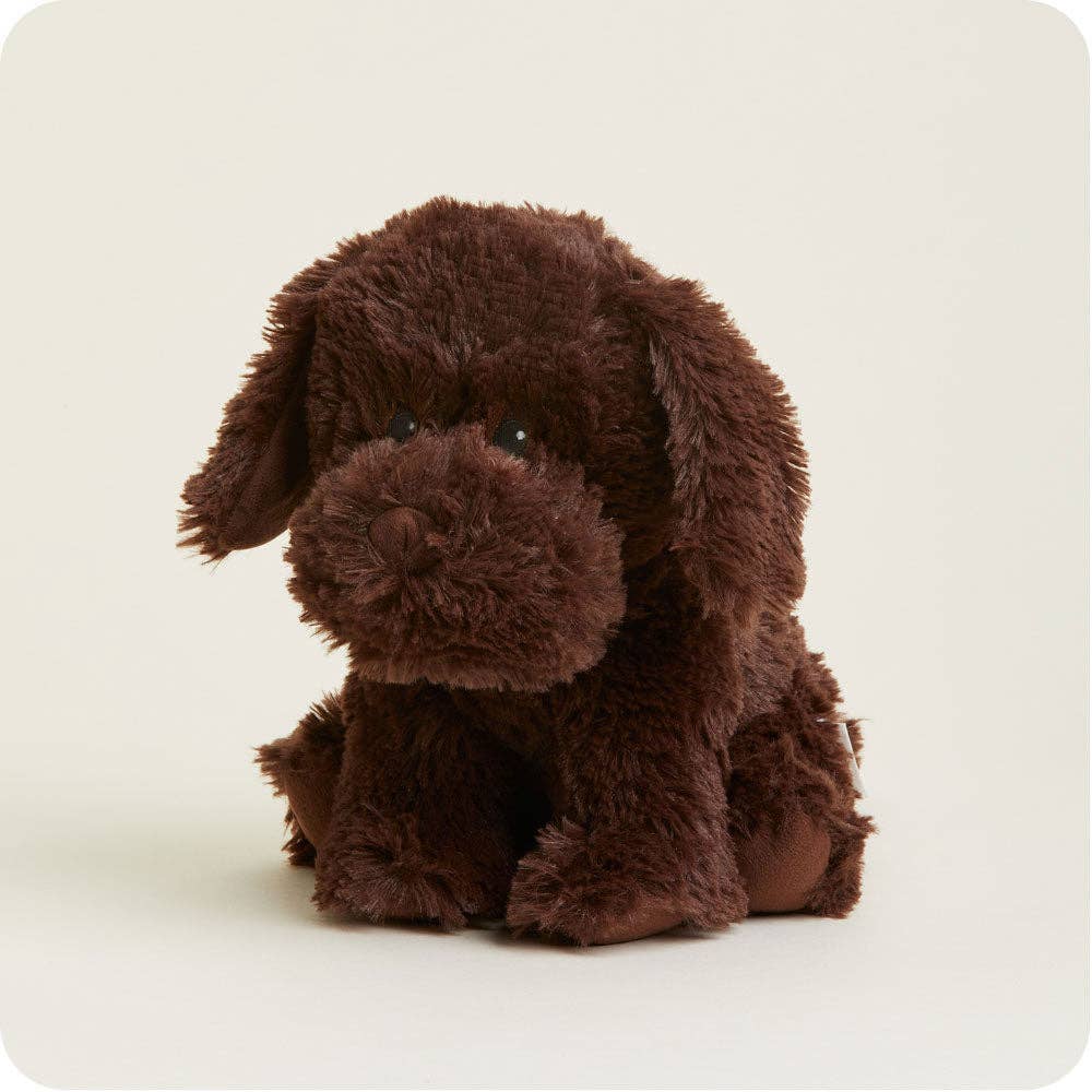 Warmies - Lavender Scented Plush - Gifts - Summer Market - Chocolate Labrador Warmies