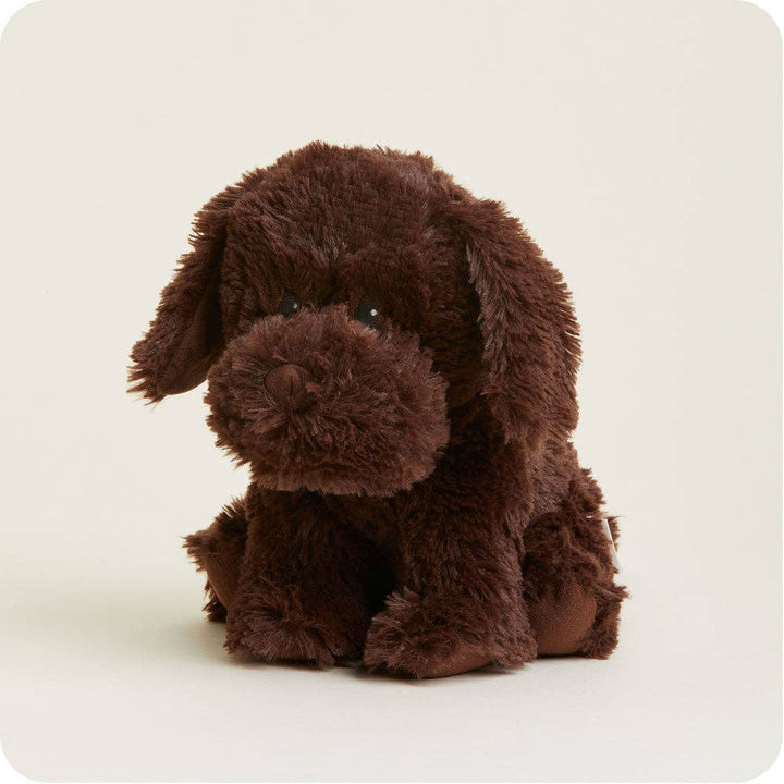 Warmies - Lavender Scented Plush - Gifts - Summer Market - Chocolate Labrador Warmies