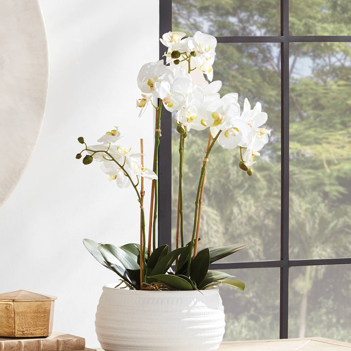 Napa Home & Garden - Phalaenopsis Orchid Bowl Drop-In 25"