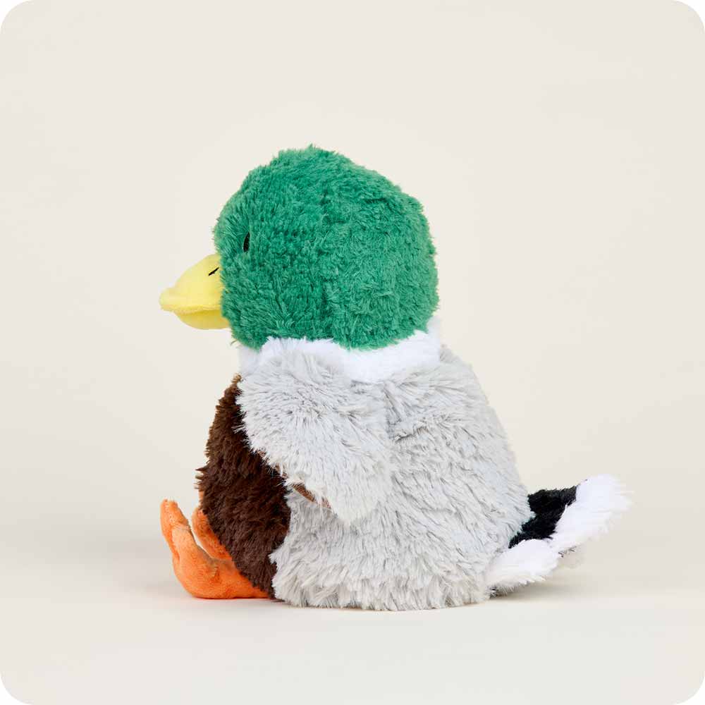 Warmies - Lavender Scented Plush - Gifts - Summer Market - Mallard Warmies Heatable Plushie Lavender Scented Weighted